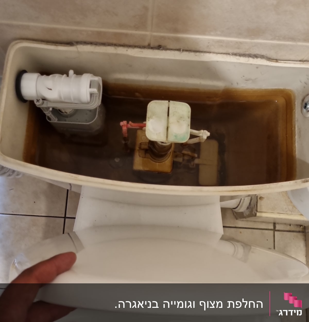 מיכל אסלה פתוח עם מנגנון פנימי
